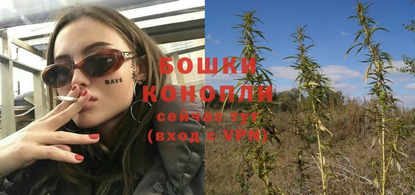 сатива Заволжск