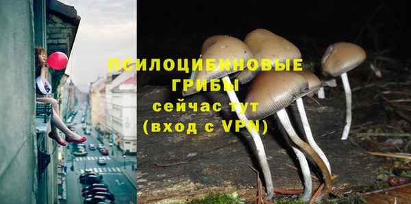 кокс Заводоуковск