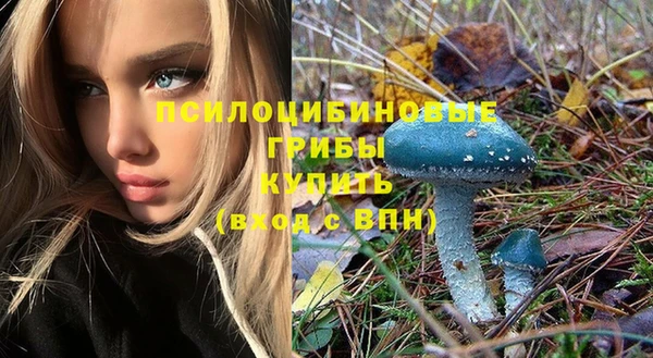 эйфоретик Заволжье