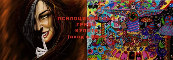 эйфоретик Заволжье