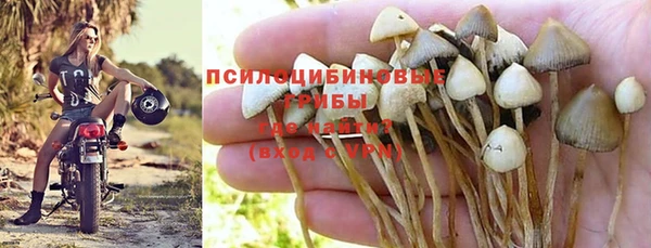 эйфоретик Заволжье