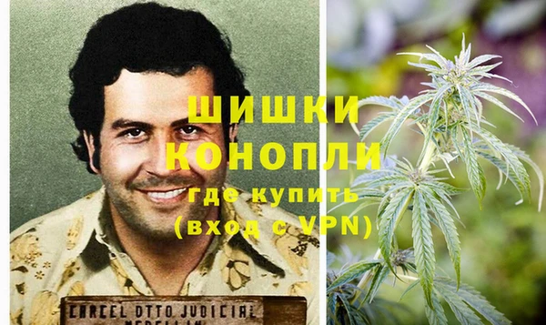 сатива Заволжск
