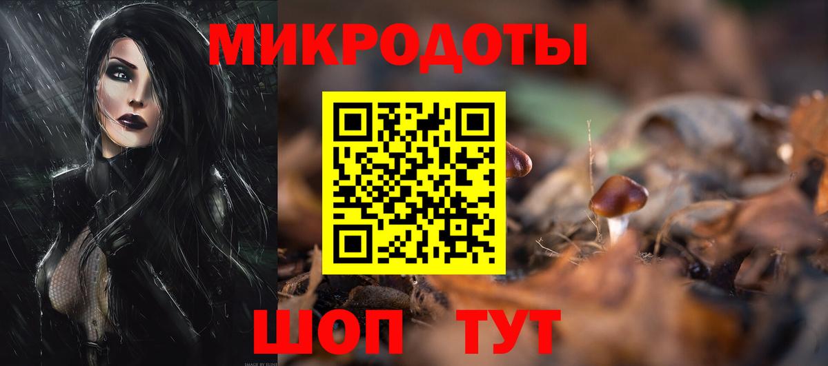 Псилоцибиновые грибы Magic Shrooms  Вход с VPN  Каменка 