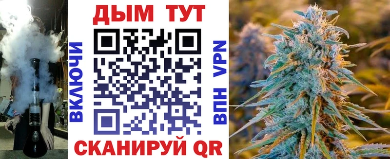 Бошки марихуана план где купить наркоту блэк спрут ссылка Каменка